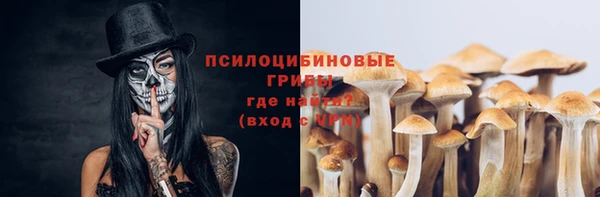 а пвп мука Алзамай
