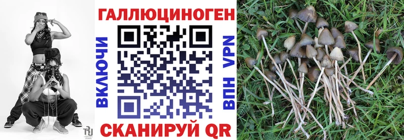 купить наркоту  Баймак  Галлюциногенные грибы GOLDEN TEACHER 
